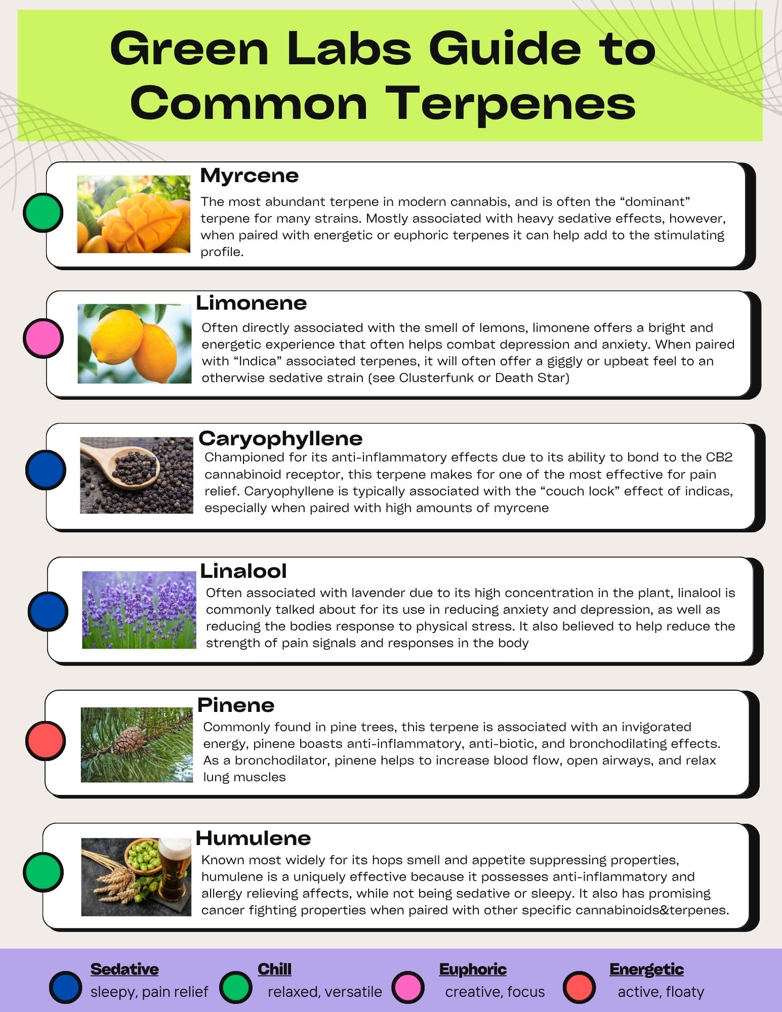 Terpene education graphic